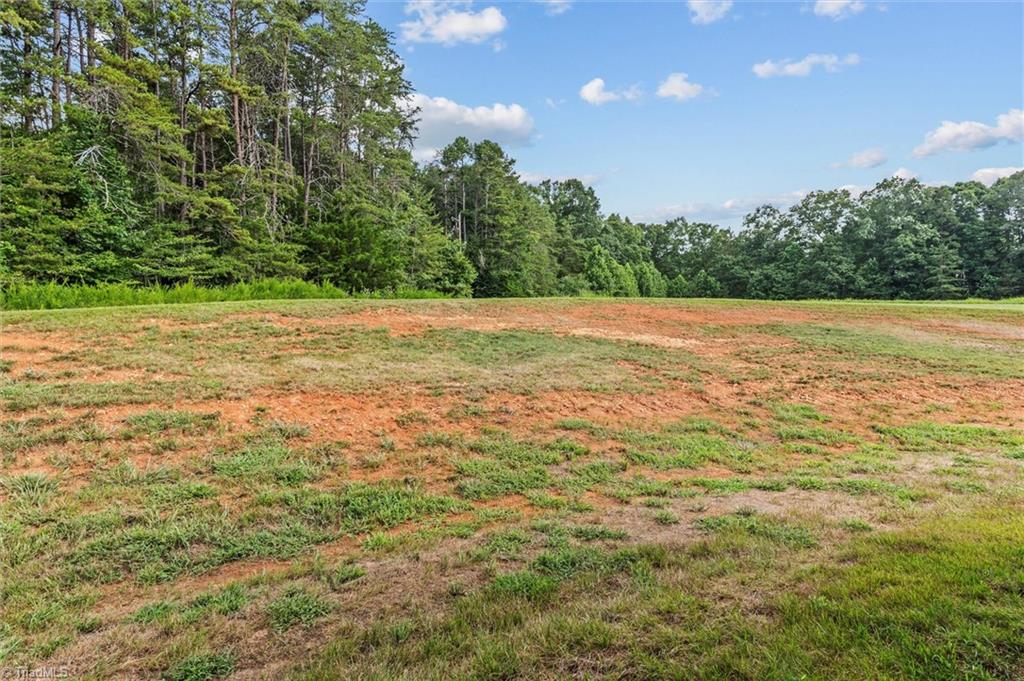 631 Hauser Road Pinnacle, NC 27043 - Photo 46 of 46