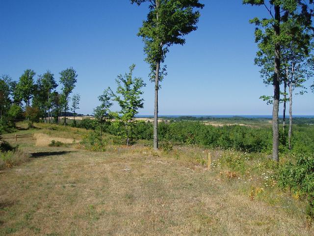 Kerry Road Kaleva, MI 49645 - Photo 1 of 1 Primary Photo