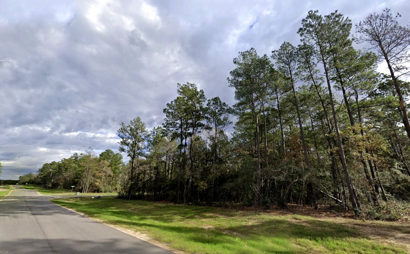 15712 Republic Ranch Road North Willis, TX 77378 - Photo 6 of 16 a view of a yard