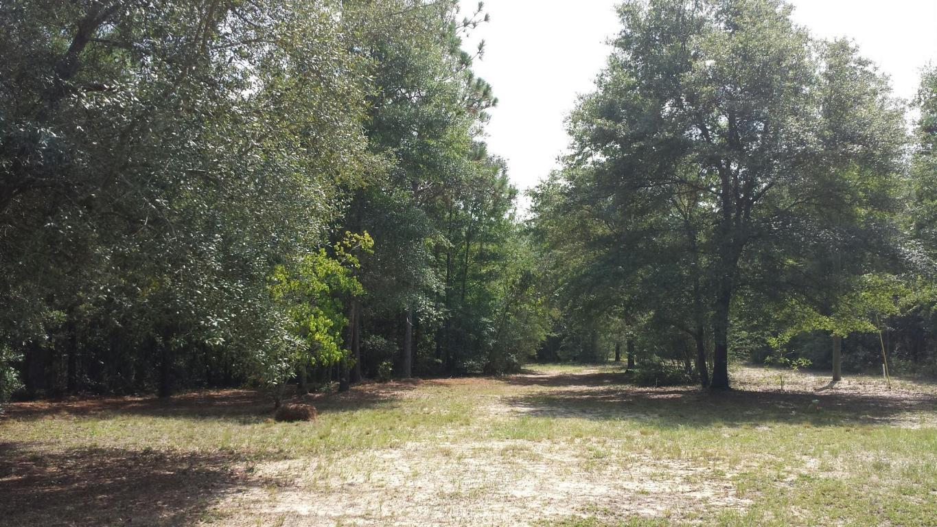 Xx Caswell Road DeFuniak Springs, FL 32433 - Photo 12 of 18 Gallery Image 12