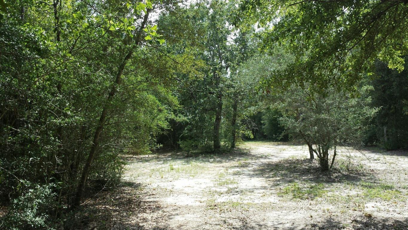 Xx Caswell Road DeFuniak Springs, FL 32433 - Photo 14 of 18 Gallery Image 14