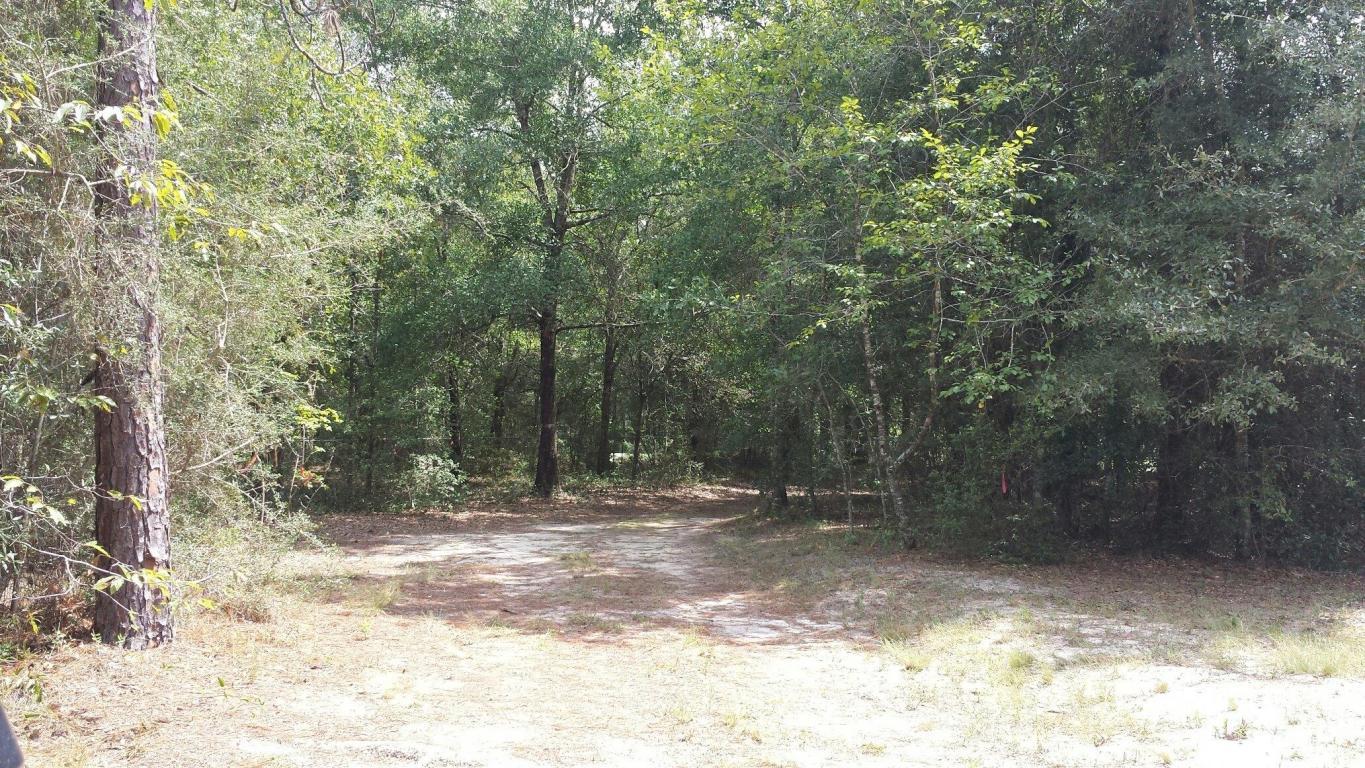 Xx Caswell Road DeFuniak Springs, FL 32433 - Photo 15 of 18 Gallery Image 15