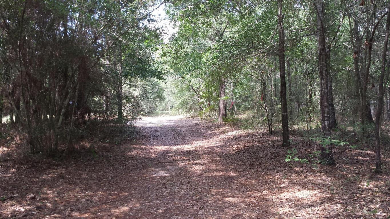 Xx Caswell Road DeFuniak Springs, FL 32433 - Photo 17 of 18 Gallery Image 17