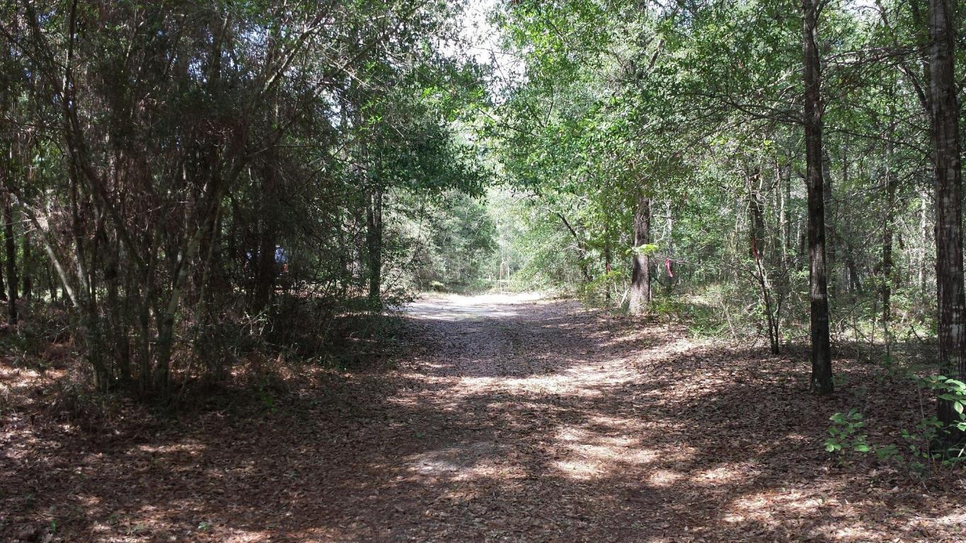 Xx Caswell Road DeFuniak Springs, FL 32433 - Photo 18 of 18 Gallery Image 18