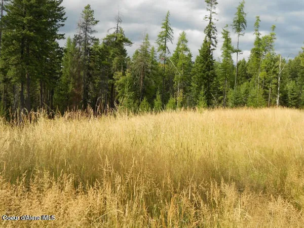 $295,000 | Nna Nna Monarch Place, Bonners Ferry, ID 83805