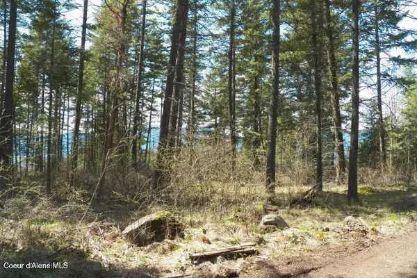 $295,000 | Nna Nna Monarch Place, Bonners Ferry, ID 83805