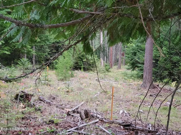 $295,000 | Nna Nna Monarch Place, Bonners Ferry, ID 83805