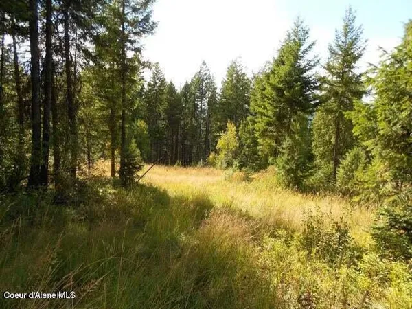 $295,000 | Nna Nna Monarch Place, Bonners Ferry, ID 83805