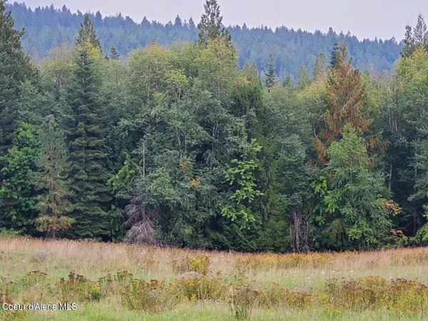 $295,000 | Nna Nna Monarch Place, Bonners Ferry, ID 83805