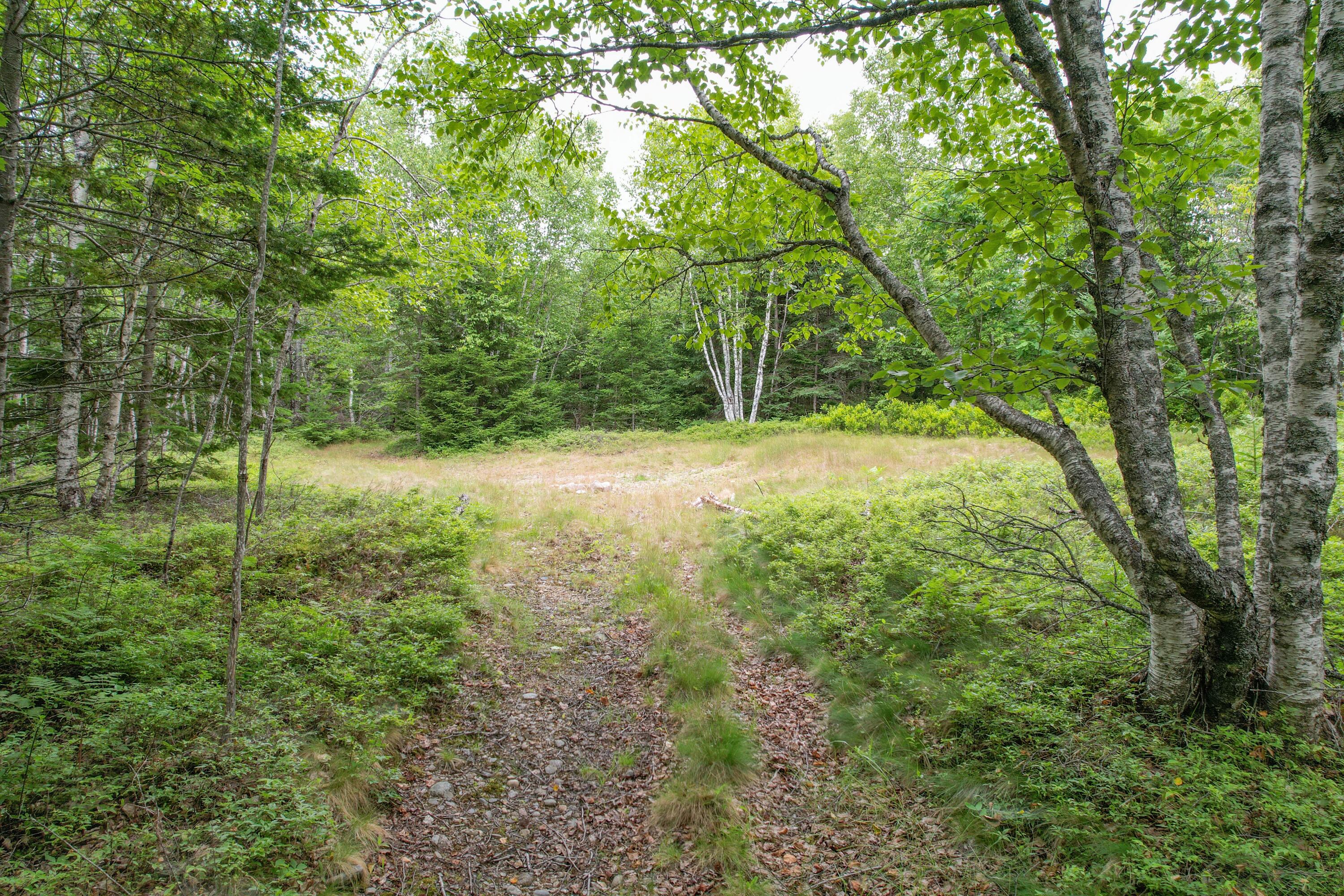 M7-l 5 6 Pineo Point Road Harrington, ME 04643 - Photo 18 of 45 DJI_0878