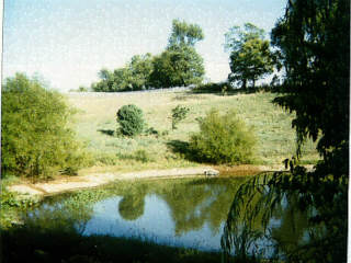 503 Rogers Road Lancaster, KY 40444 - Photo 4 of 5 Photo 4