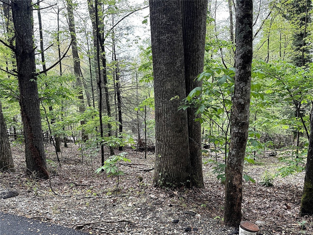 Lot 27 Ash Boone, NC 28607 - Photo 2 of 7 Gallery Image 2