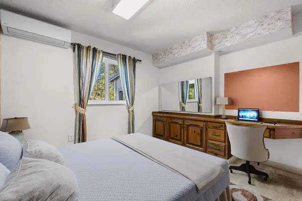 a view of a park with large trees