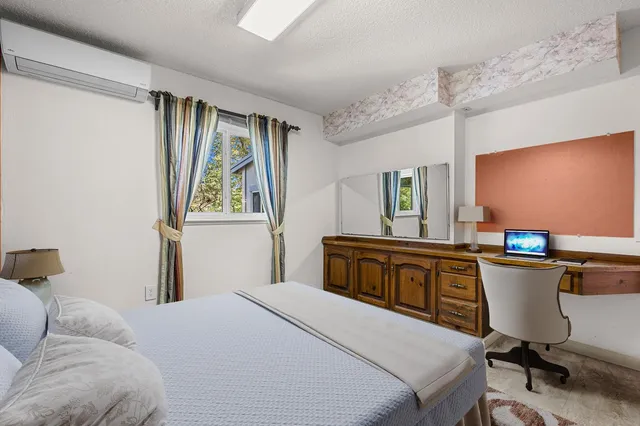 a view of a park with large trees