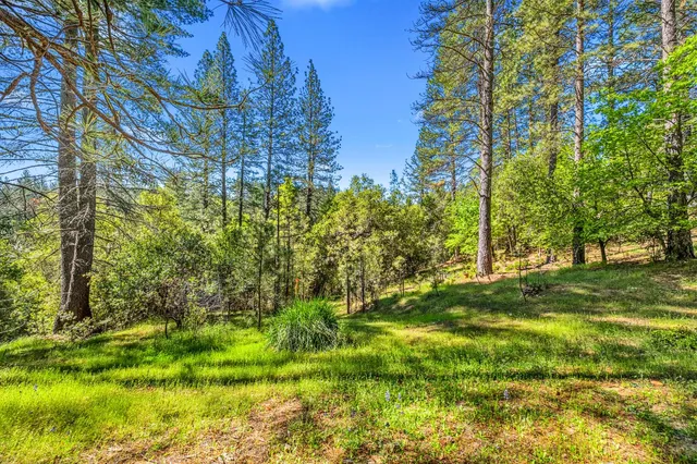 $489,000 | 16080 Mt Whitney Drive, Fiddletown, CA 95629