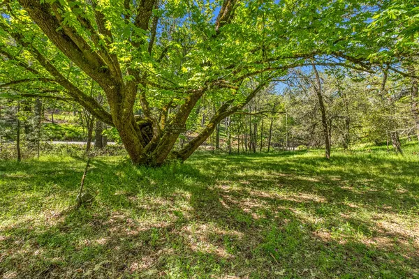 $463,900 | 16080 Mt Whitney Drive, Fiddletown, CA 95629