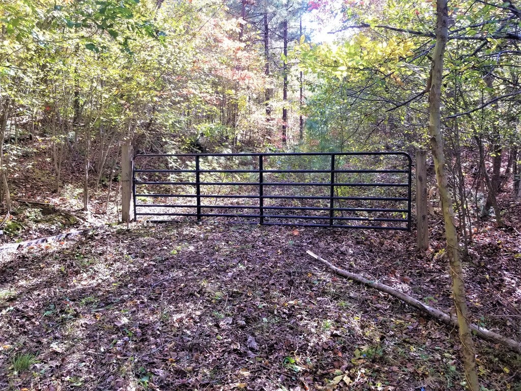 607 Jenningstown Road Crewe, VA 23930 - Photo 8 of 22 Gallery Image 8