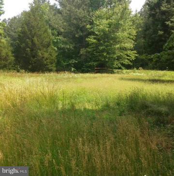 27694 Wilhelm Road Denton, MD 21629 - Photo 3 of 5 View of yard