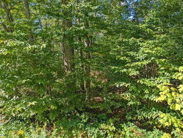 $14,999 | Oberhugel Road, Readsboro, VT 05352