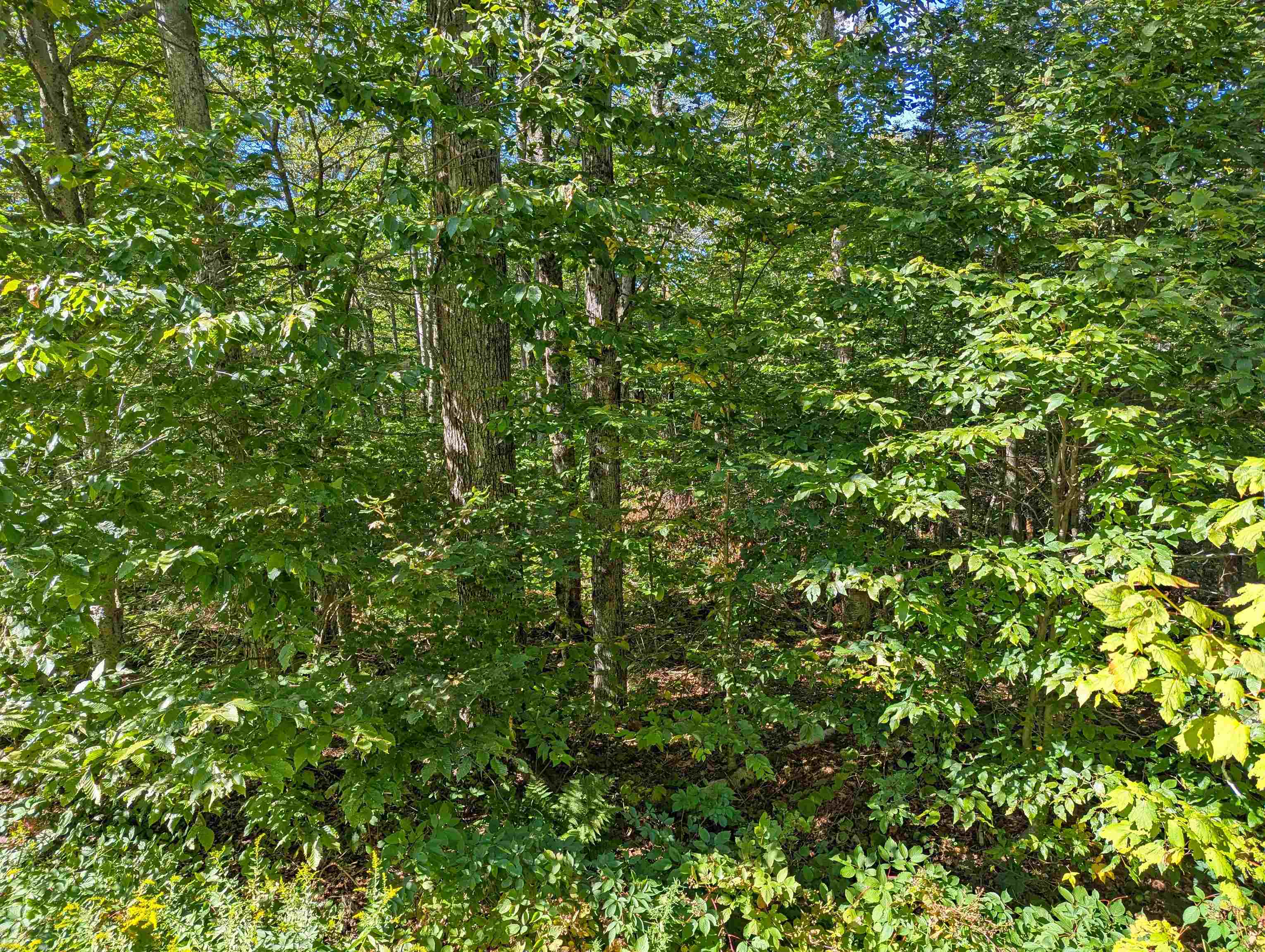 Oberhugel Road Readsboro, VT 05352 - Photo 5 of 10