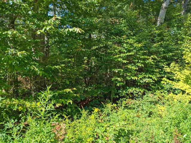 $14,999 | Oberhugel Road, Readsboro, VT 05352