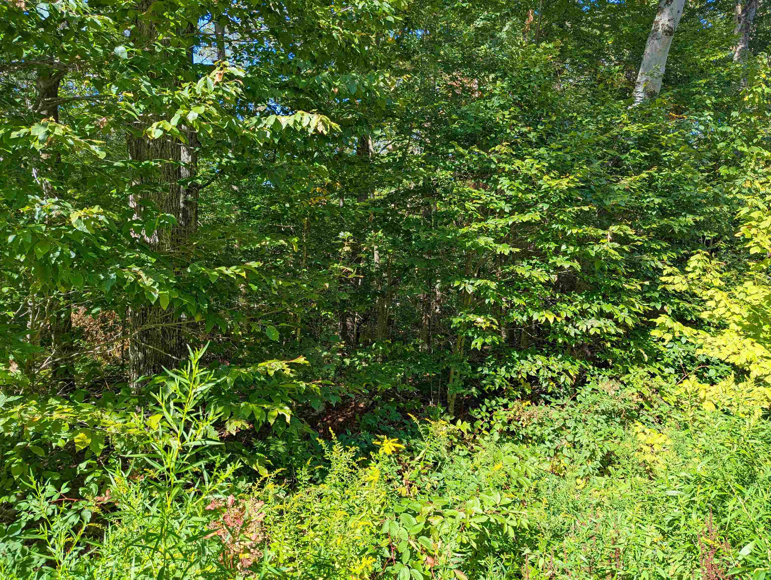 Oberhugel Road Readsboro, VT 05352 - Photo 7 of 10