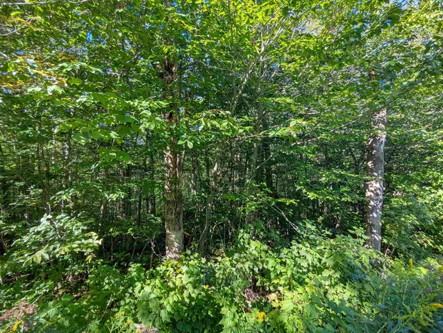 $14,999 | Oberhugel Road, Readsboro, VT 05352