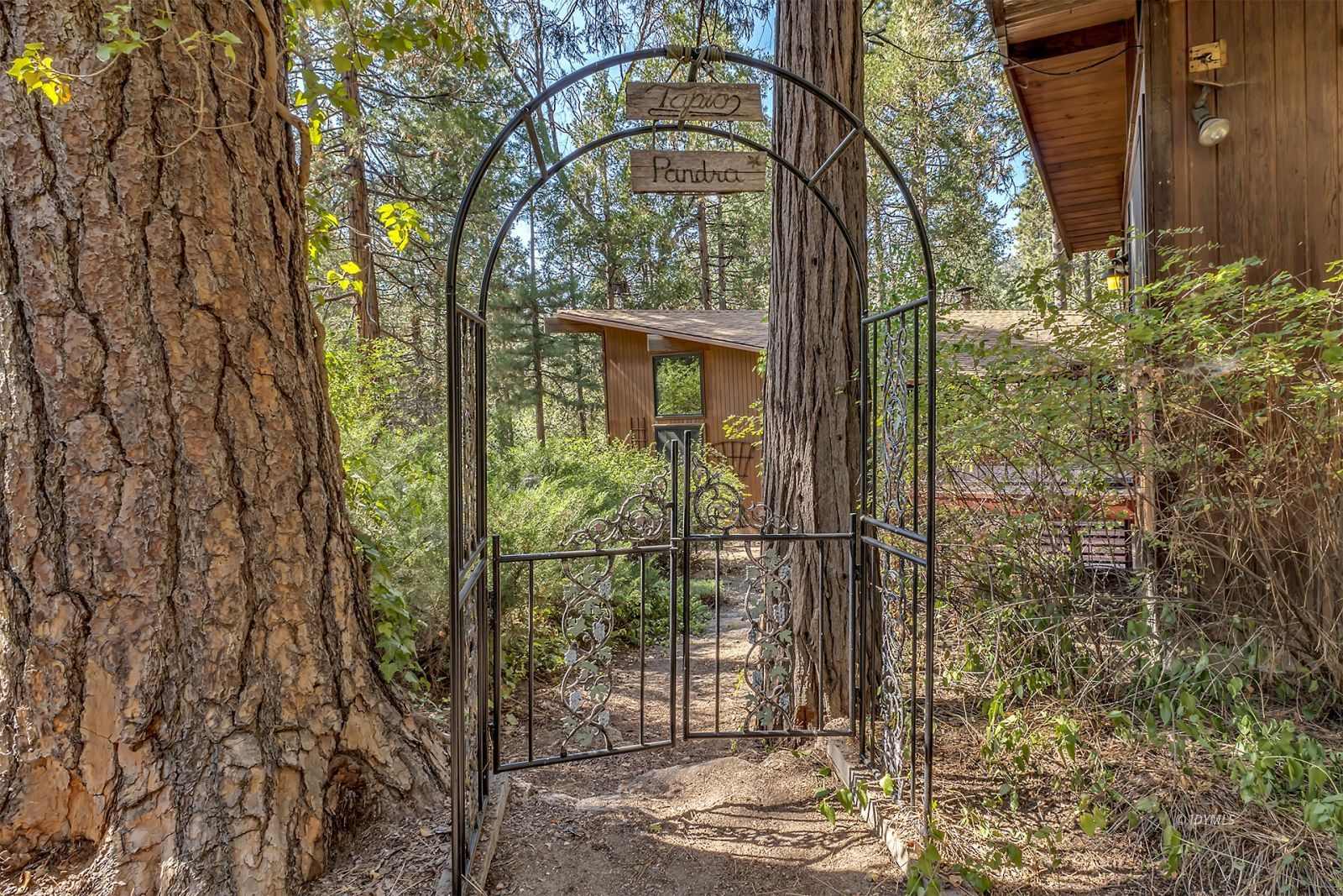 52600 Idyllmont Road Idyllwild, CA 92549 - Photo 52 of 58 Entry path to main house