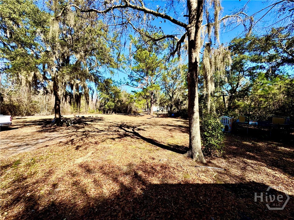 49 Clem Road Midway, GA 31320 - Photo 11 of 15 Backyard