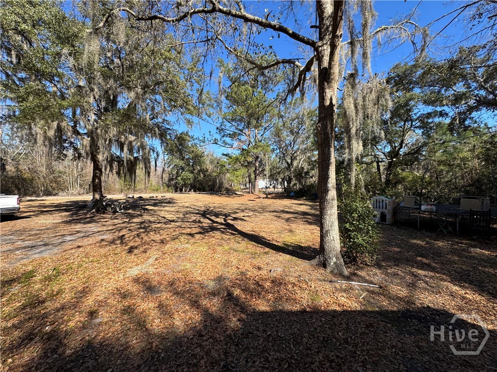 49 Clem Road Midway, GA 31320 - Photo 4 of 15 Frontyard