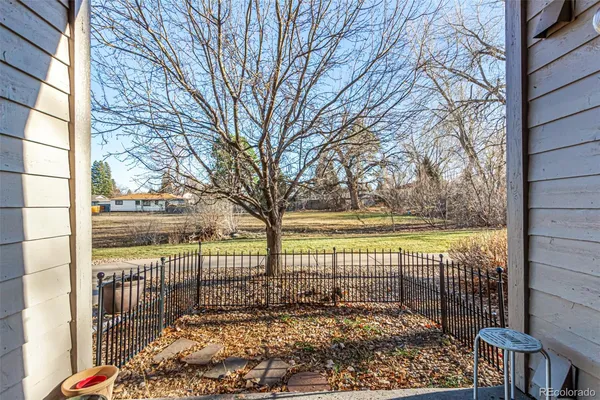 a view of a outdoor space with a large tree