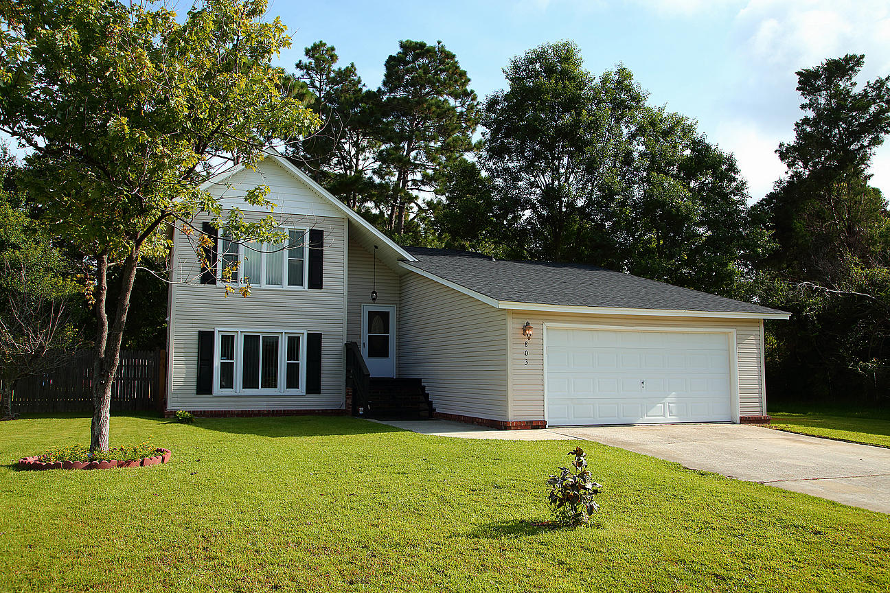 803 Beauregard Road Summerville, SC 29486 - Photo 2 of 85 IMG_9858