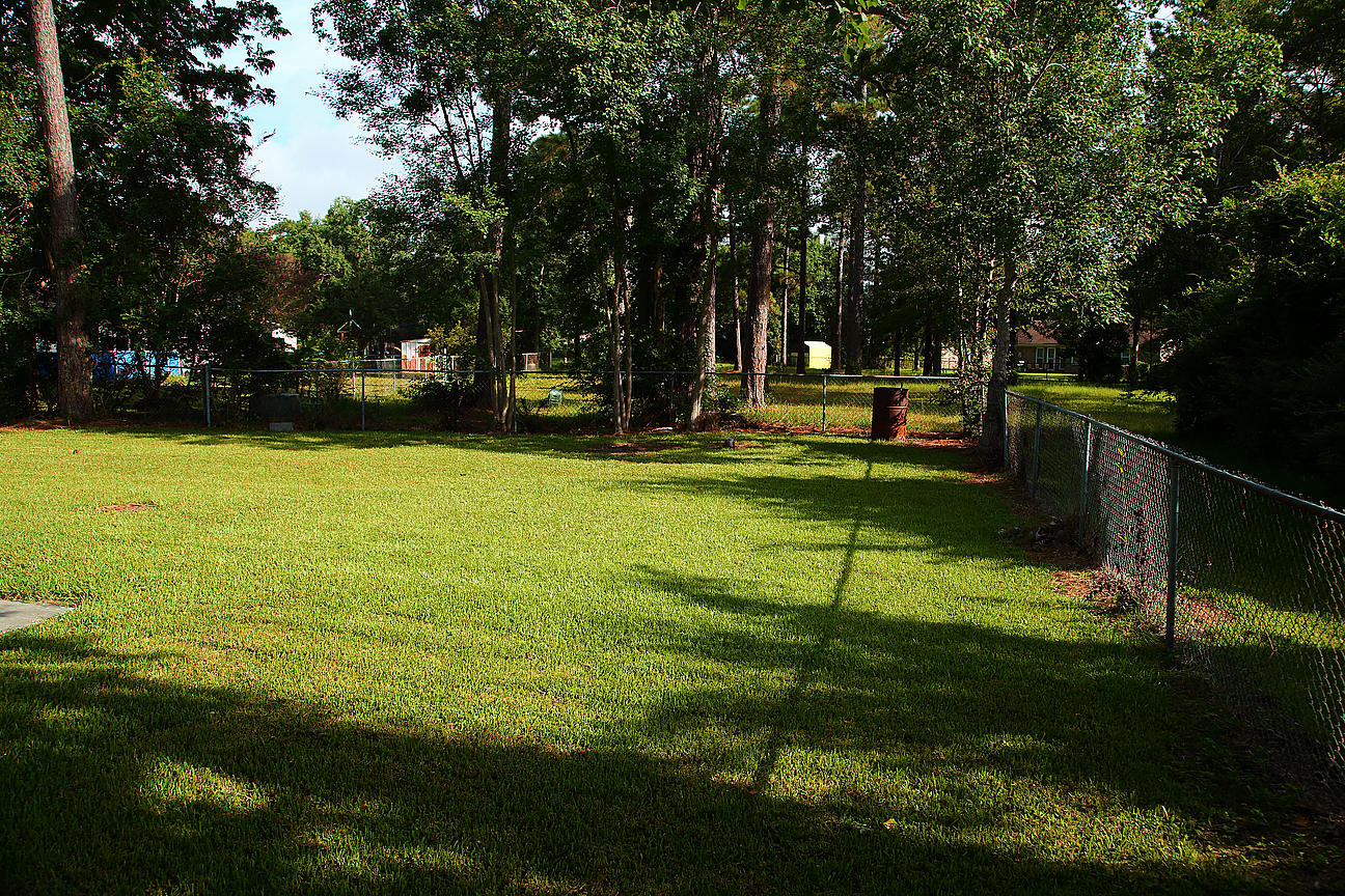 803 Beauregard Road Summerville, SC 29486 - Photo 68 of 85 IMG_9851