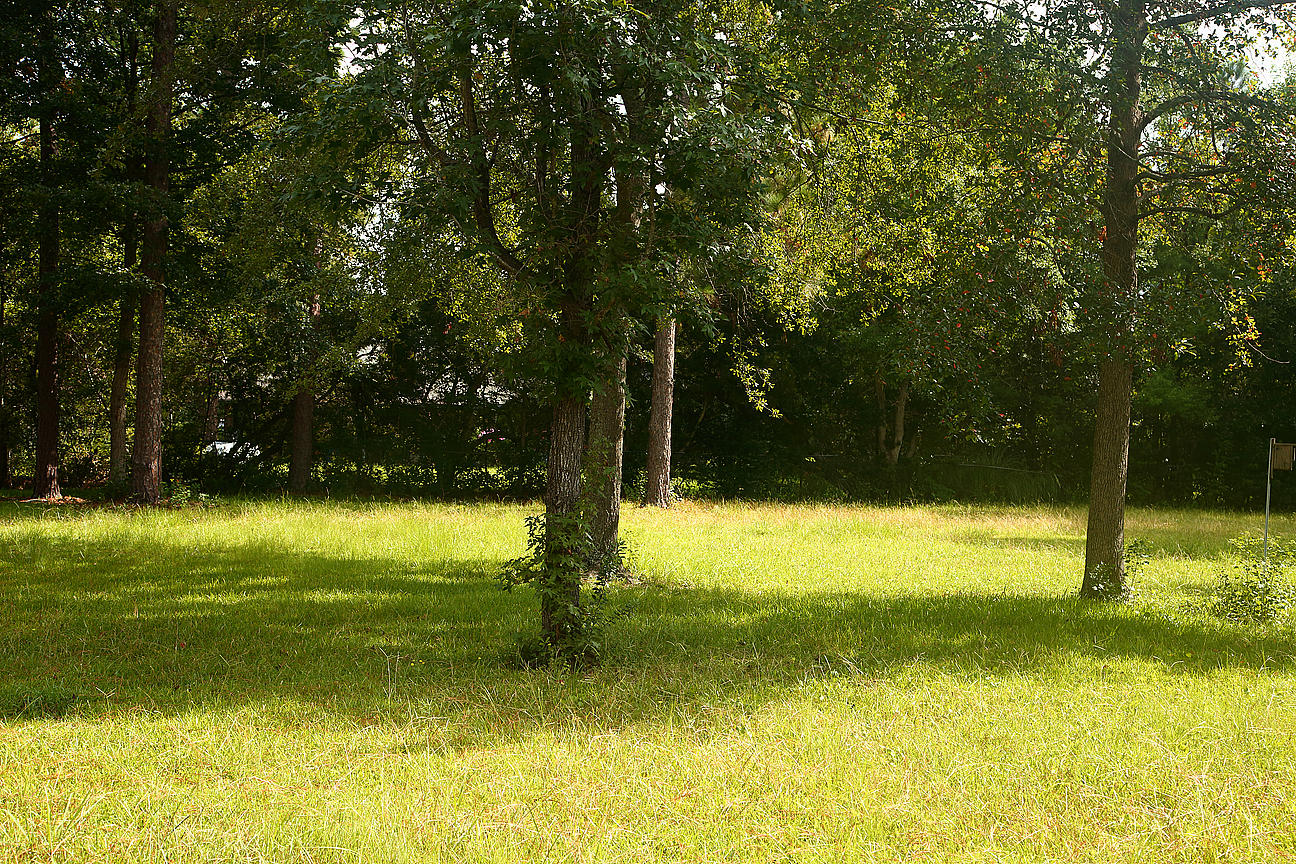 803 Beauregard Road Summerville, SC 29486 - Photo 72 of 85 IMG_9903