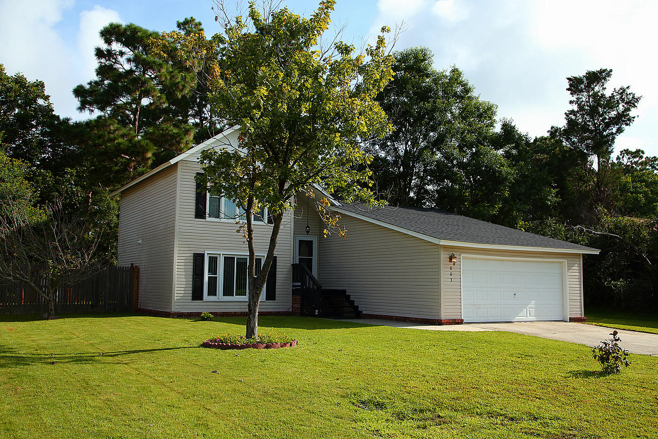 803 Beauregard Road Summerville, SC 29486 - Photo 80 of 85 IMG_9870