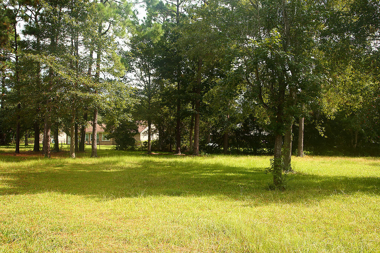 803 Beauregard Road Summerville, SC 29486 - Photo 85 of 85 IMG_9899