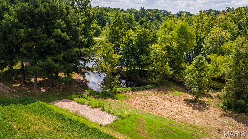 541 Dallas Road Murphysboro, IL 62966 - Photo 12 of 64