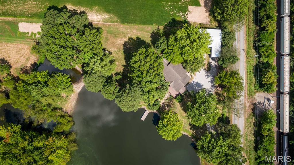 541 Dallas Road Murphysboro, IL 62966 - Photo 6 of 64
