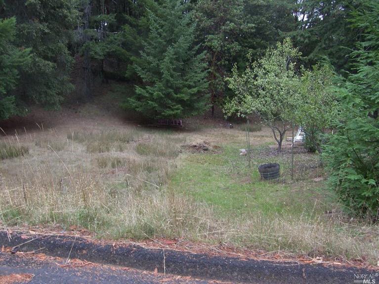 a view of a yard