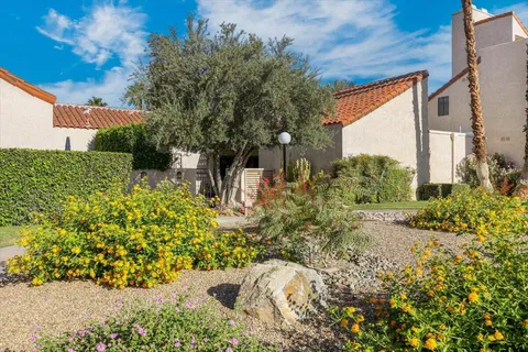 a view of a garden with plants
