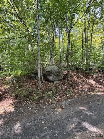 $65,000 | Mohawk Drive, Old Forge, NY 13420