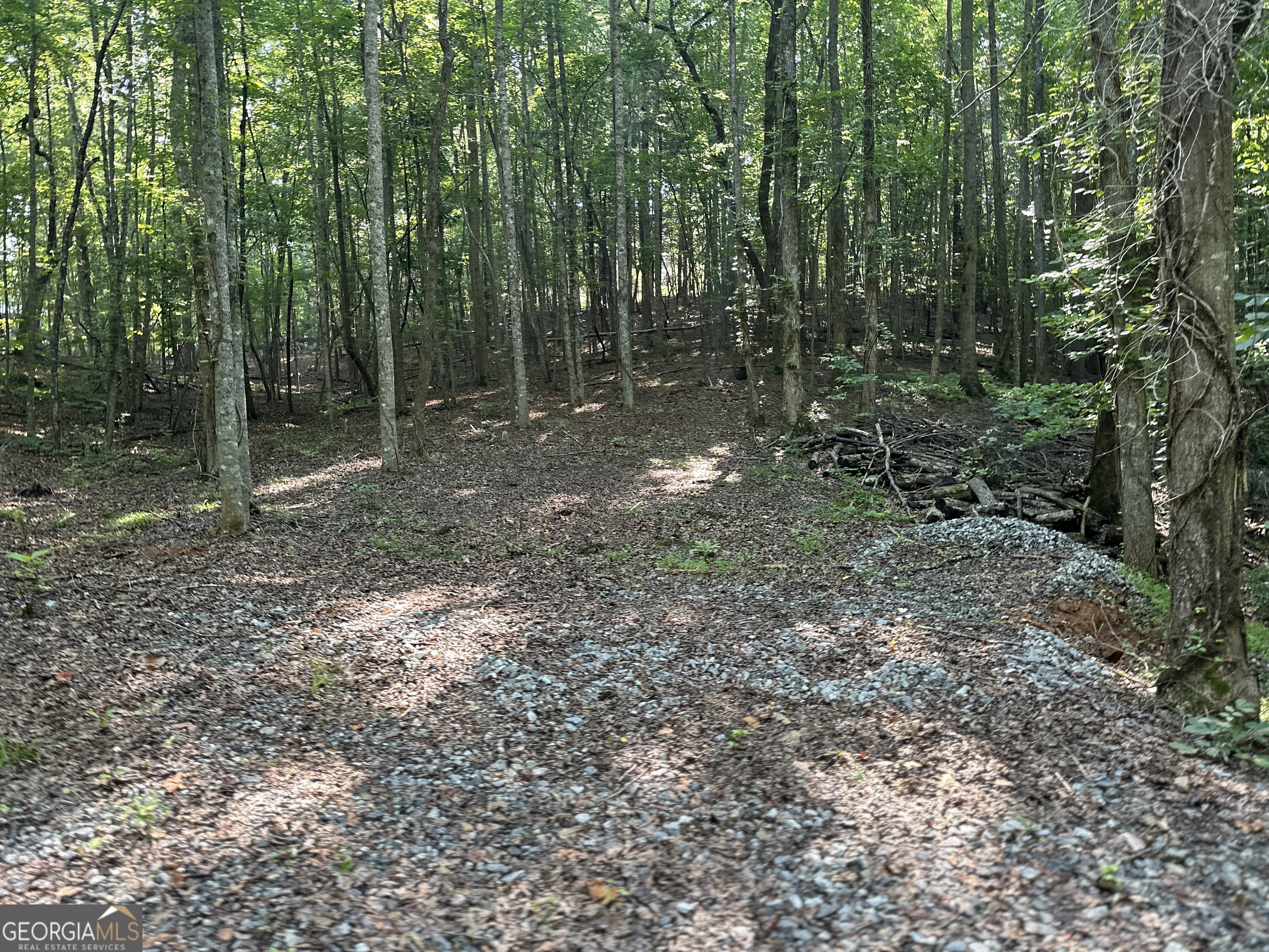 10 Clearview Drive Cleveland, GA 30528 - Photo 4 of 14