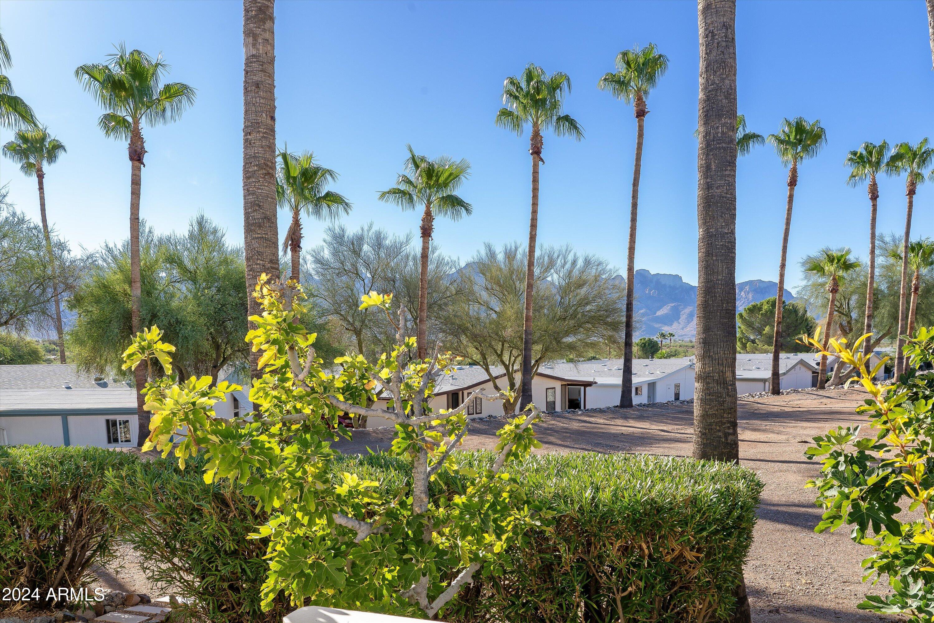 15301 North Oracle Road, Unit 41 Tucson, AZ 85739 - Photo 25 of 27 28-View