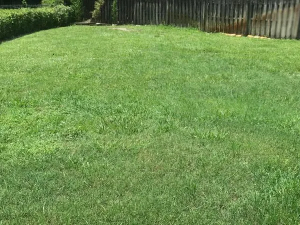 a view of yard with green space