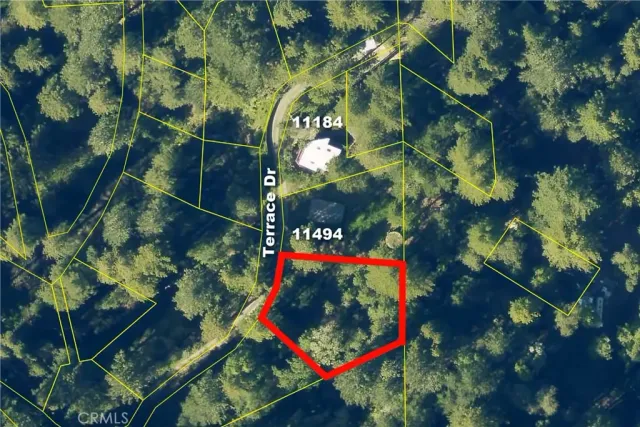 a view of a lush green forest