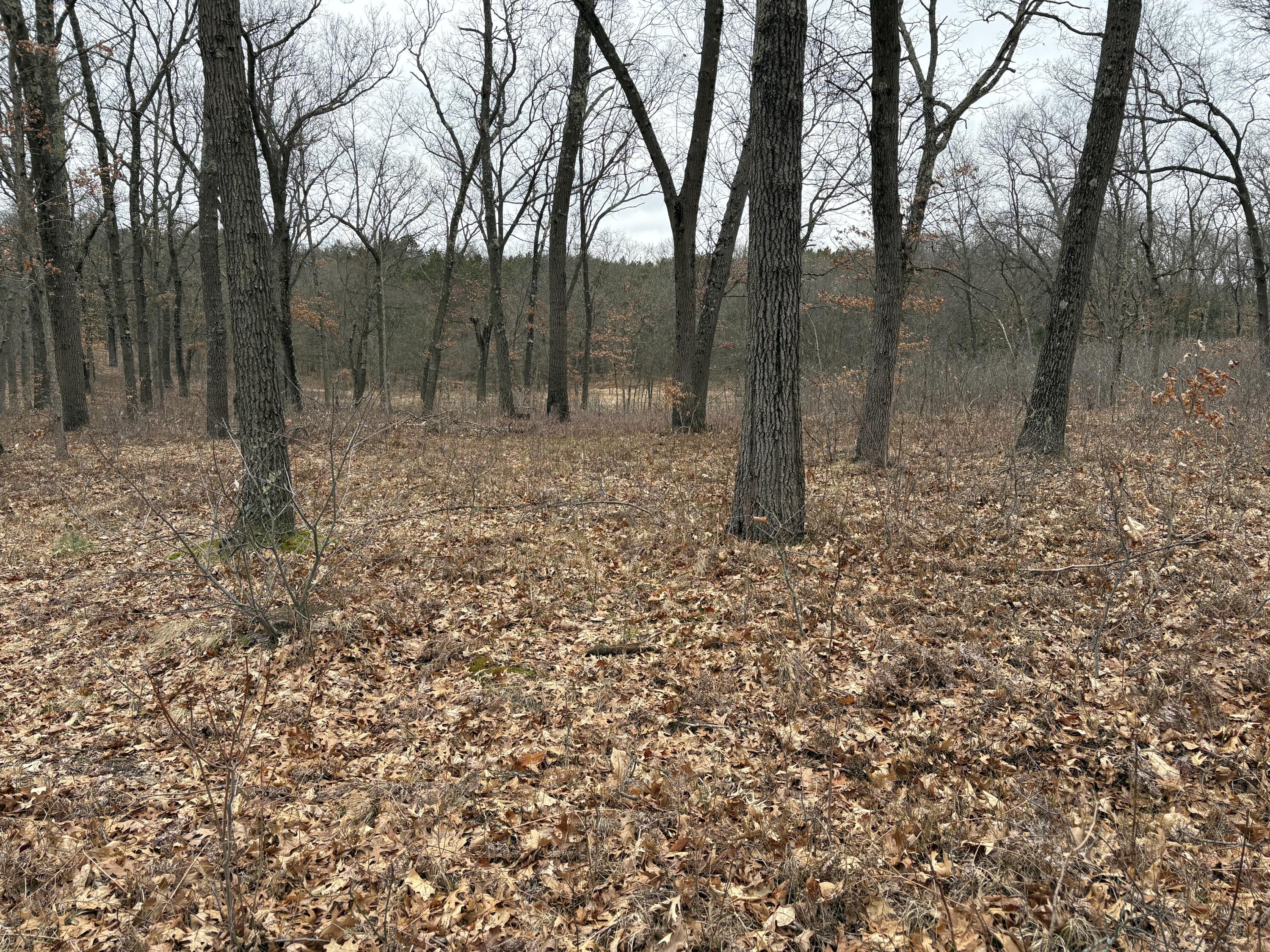 East Wilke Road Fremont, MI 49412 - Photo 11 of 14 IMG_0318