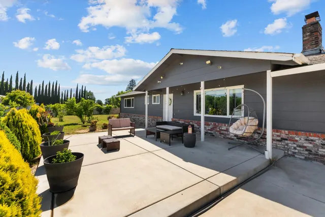 a view of a tree in a garden