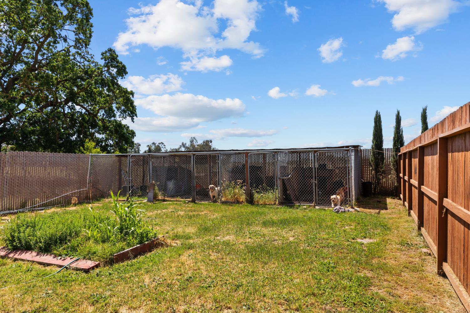 2409 Rio Oso Road Rio Oso, CA 95674 - Photo 63 of 67