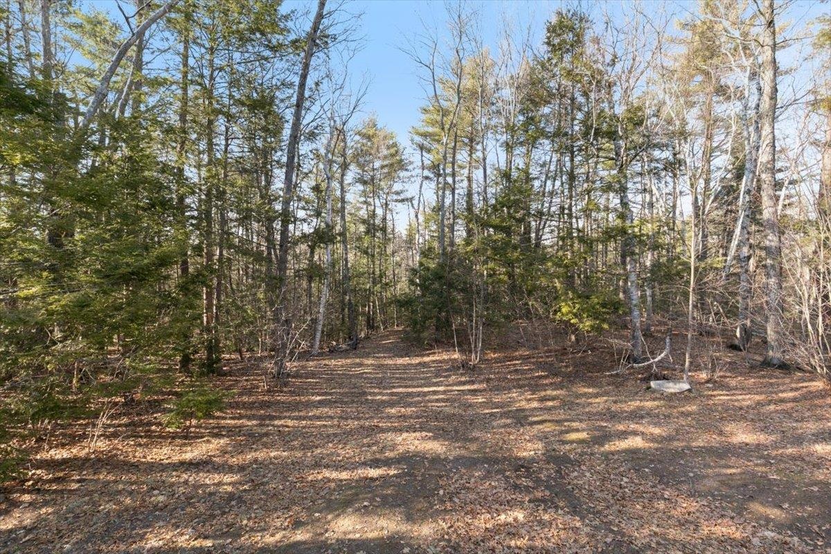 24 Oak Ridge Road Sandown, NH 03873 - Photo 39 of 45