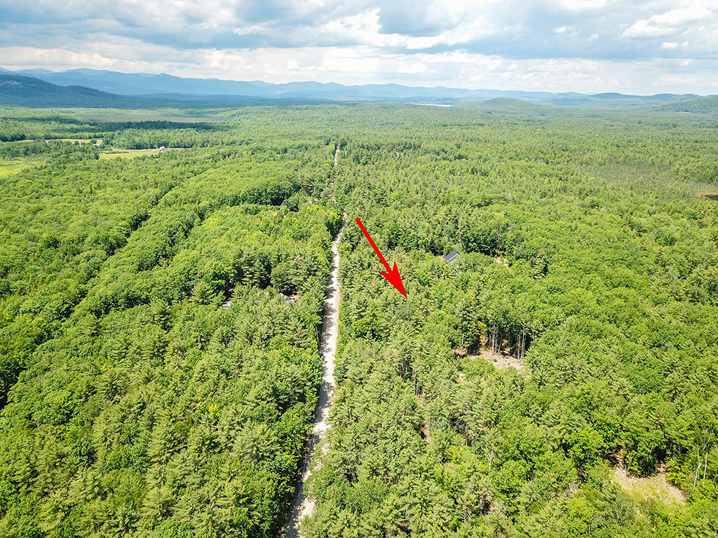 Lot 9 Smith Road Denmark, ME 04022 - Photo 24 of 34 919-Denmark-land-summer2020A